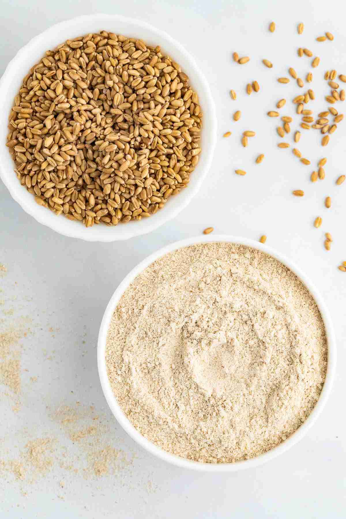 a bowl of hard red wheat berries and a bowl of fresh milled hard red wheat flour